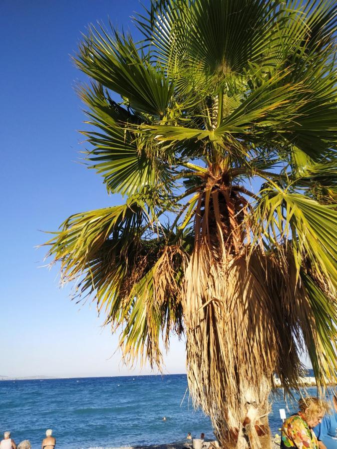 Studio Rez De Jardin Marina Baie Des Anges Вільнев-Лубе Екстер'єр фото